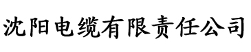 油条视频污电缆厂logo